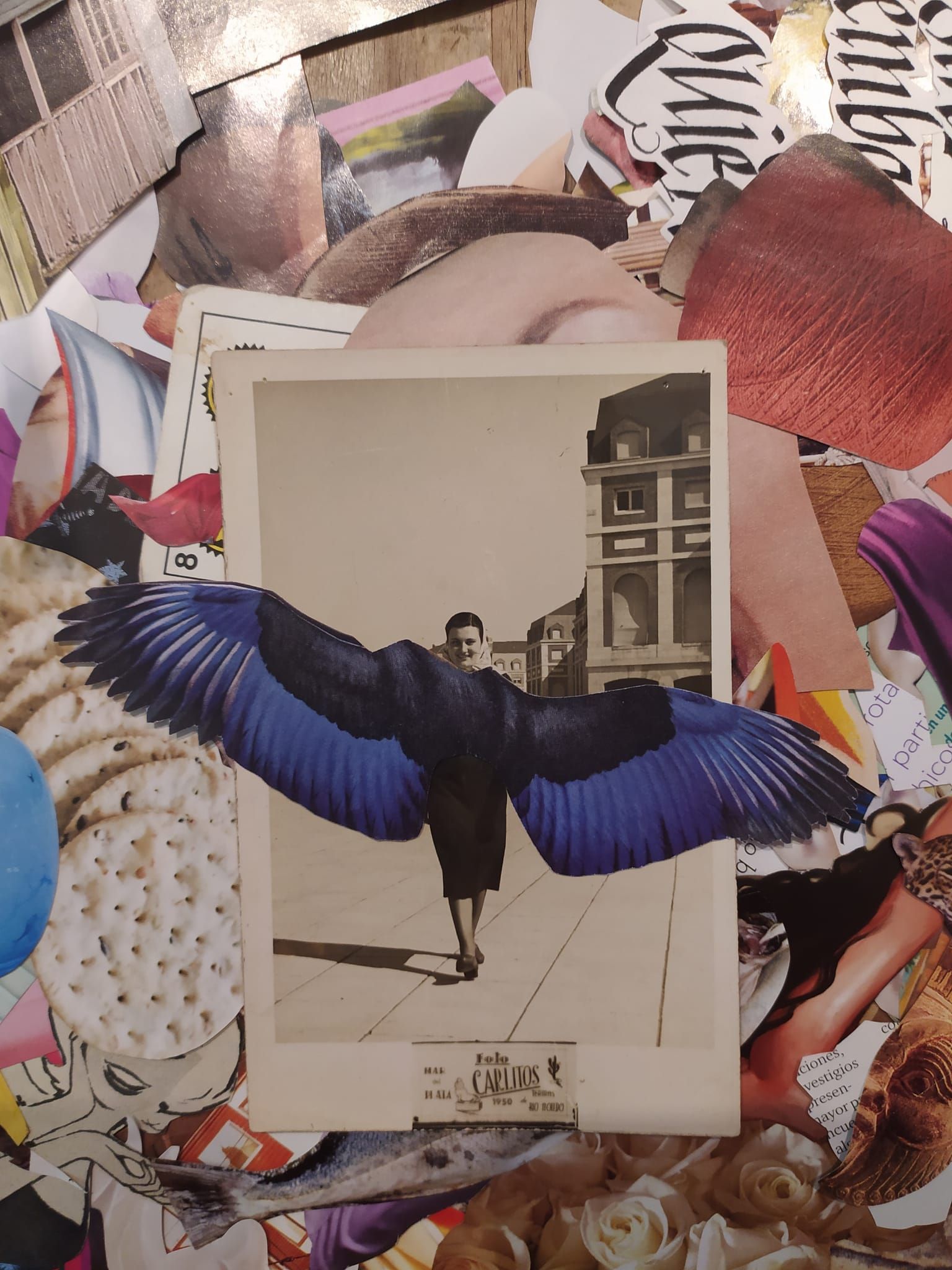 Collage, Antonela Guerra